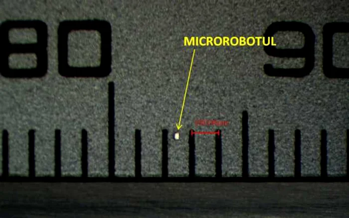 Echipa din cadrul Universităţi Valahia din Târgovişte s-a calificat, în premieră pentru România, la concursul ICRA 2015 Mobile Microrobotics Challenge