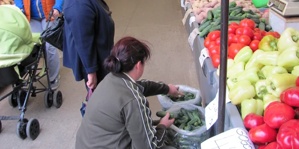 legume cluj