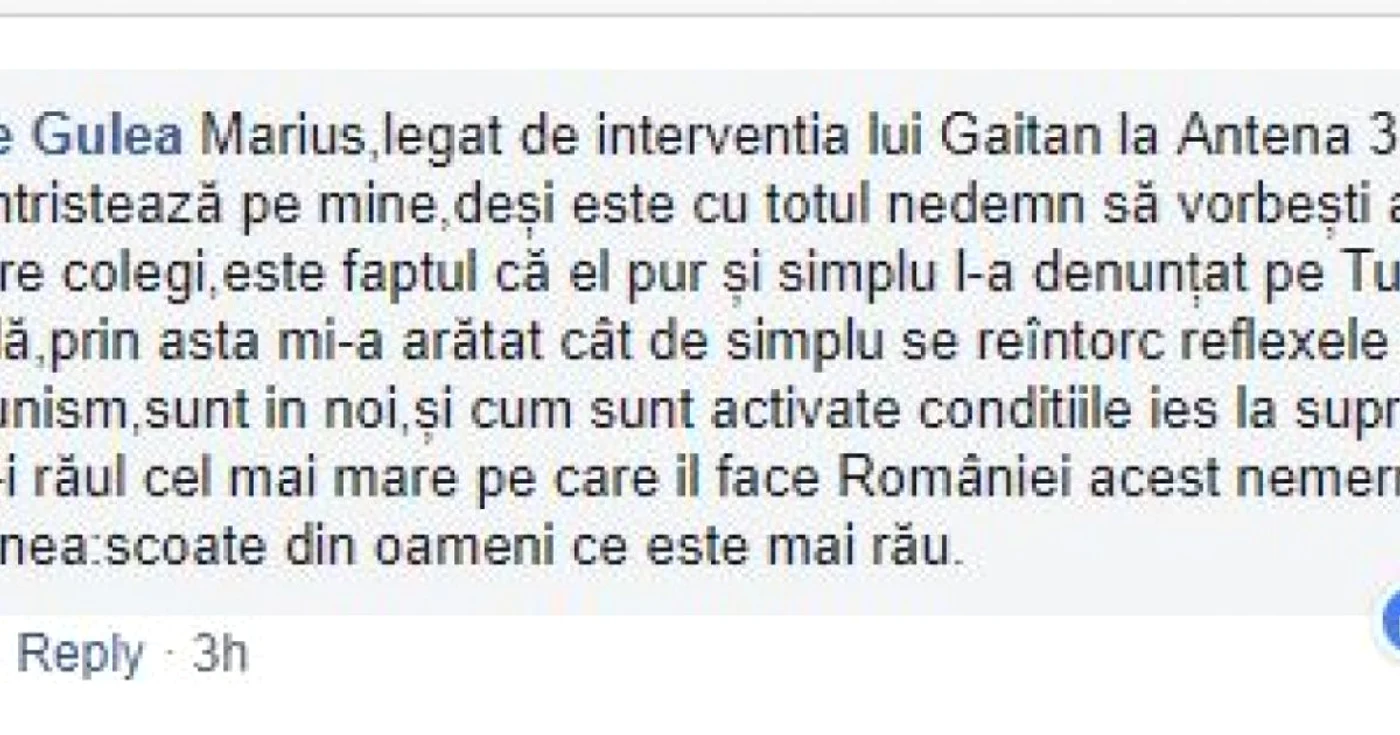 comentariu stere gulea