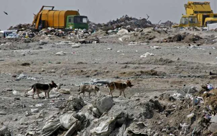 Gropile de gunoi temporare din judeţul Suceava funcţionează ilegal. FOTO Adevărul