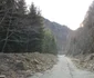 Lacul Gura Apelor , barajul și drumul spre lac Foto Daniel Guță ADEVĂRUL (23) jpg