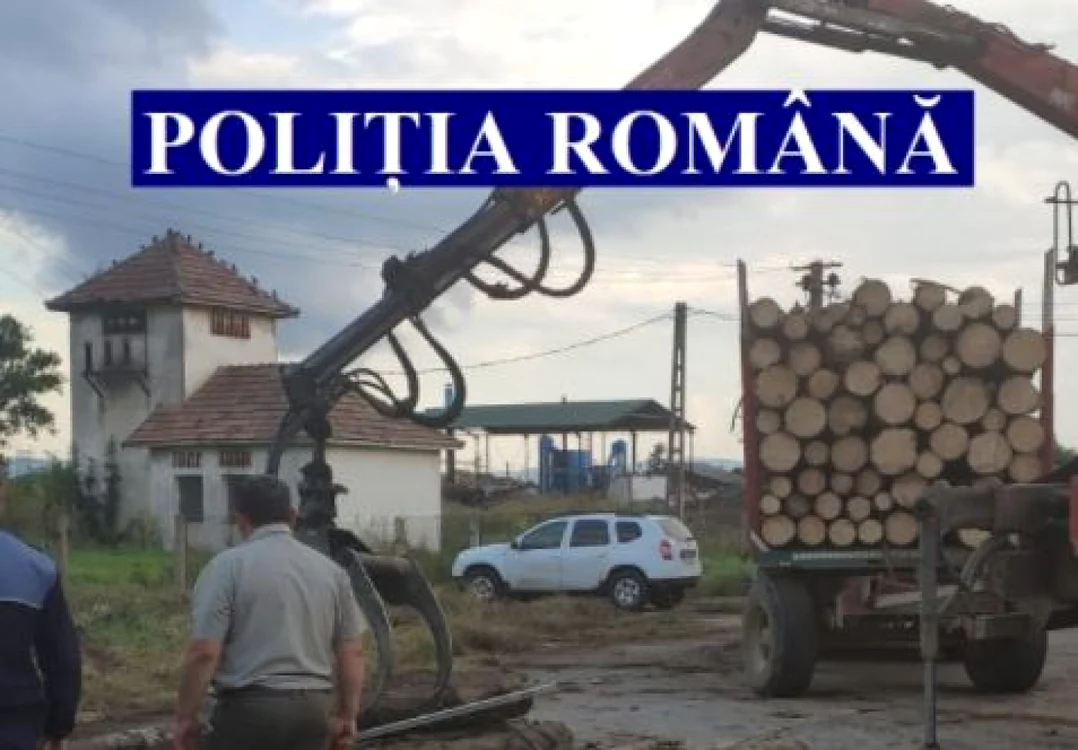  Lemn furat Foto Fb Politia Romana