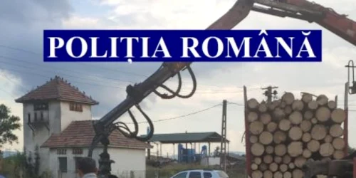  Lemn furat Foto Fb Politia Romana