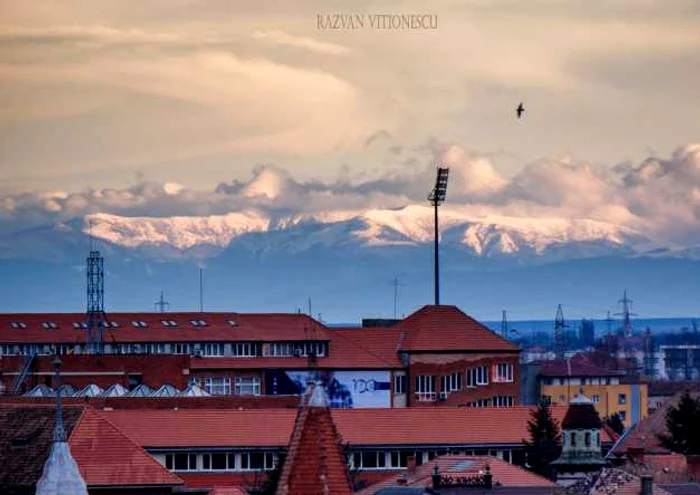 FOTO Răzvan Vitionescu