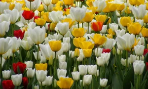 CLIIMA20140414 0020 1 jpeg