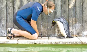 “Hai, te rog, intră n apă!” jpeg