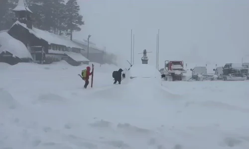 Misiune riscantă în Nevada mp4 thumbnail png