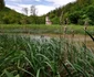 Lacul Cinciș din Hunedoara Foto Daniel Guță ADEVĂRUL (27) jpg