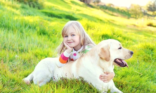 1 rase caini jpg jpeg