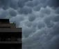 nori mammatus FOTO LUCIAN MUNTEAN