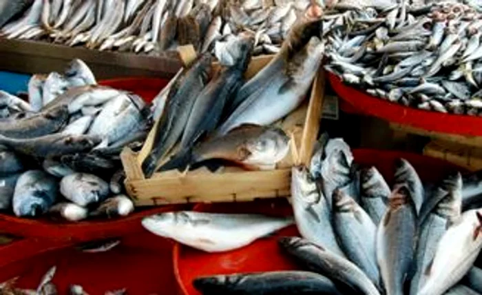 DSVSA Buzău a retras de la vânzare peste 600 kg de pește infestat cu larve parazitare.