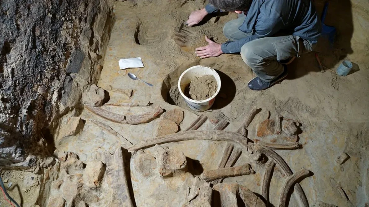 Oase de mamut descoperite în orașul austriac Gobelsburg (© Institutul Austriac de Arheologie al Academiei Austriece de Științe / ÖeAW ÖeAI)