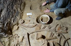 Oase de mamut descoperite în orașul austriac Gobelsburg (© Institutul Austriac de Arheologie al Academiei Austriece de Științe (ÖeAW ÖeAI) / H. Parow-Souchon)