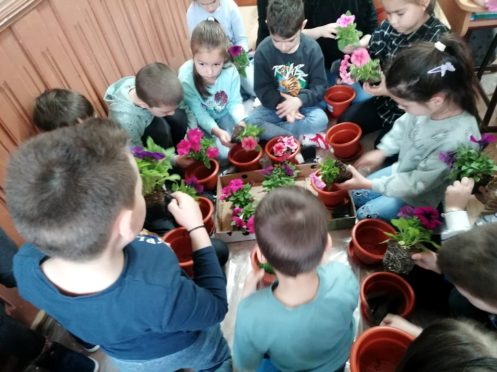 Elevii învață să planteze diferite plante FOTO Școala numărul 6
