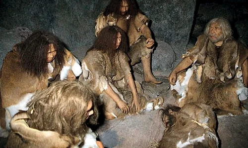 Omul de Neanderthal nu era la fel de isteţ ca Homo sapiens jpeg