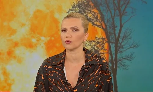 alina badic png
