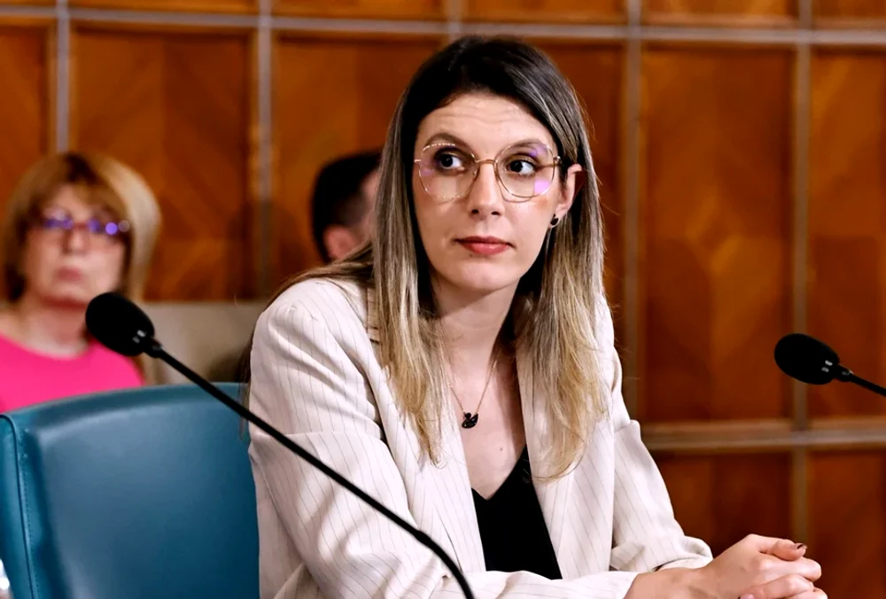 Diana Buzoianu a vorbit despre reforma Romsilva FOTO Facebook