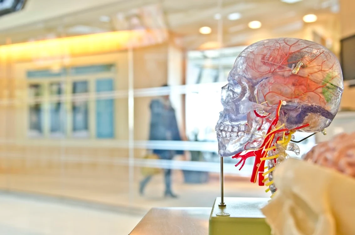 Creierul are zeci de miliarde de neuroni FOTO: Unsplash.com