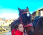 3 ana fiica roxanei ciuhulescu tabara de echitatie hobby calarie cai 3 jpg jpeg