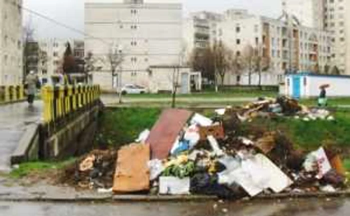 Munţi de gunoaie pe strada Rodniciei