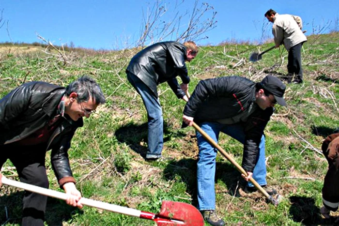 Terenul din capătul Bulevardului Muncii era mai verde în 2009 decât este în prezent