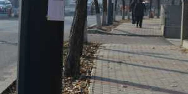 declaratie de dragoste vaslui