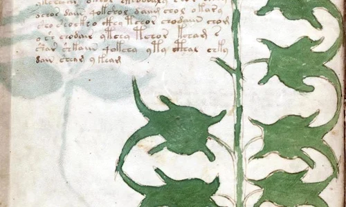 Codul Voynich este cel mai misterios manuscris din lume jpeg