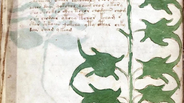 Codul Voynich este cel mai misterios manuscris din lume jpeg