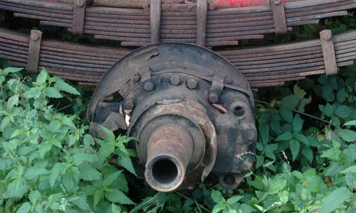 Pîrloaga activă jpeg