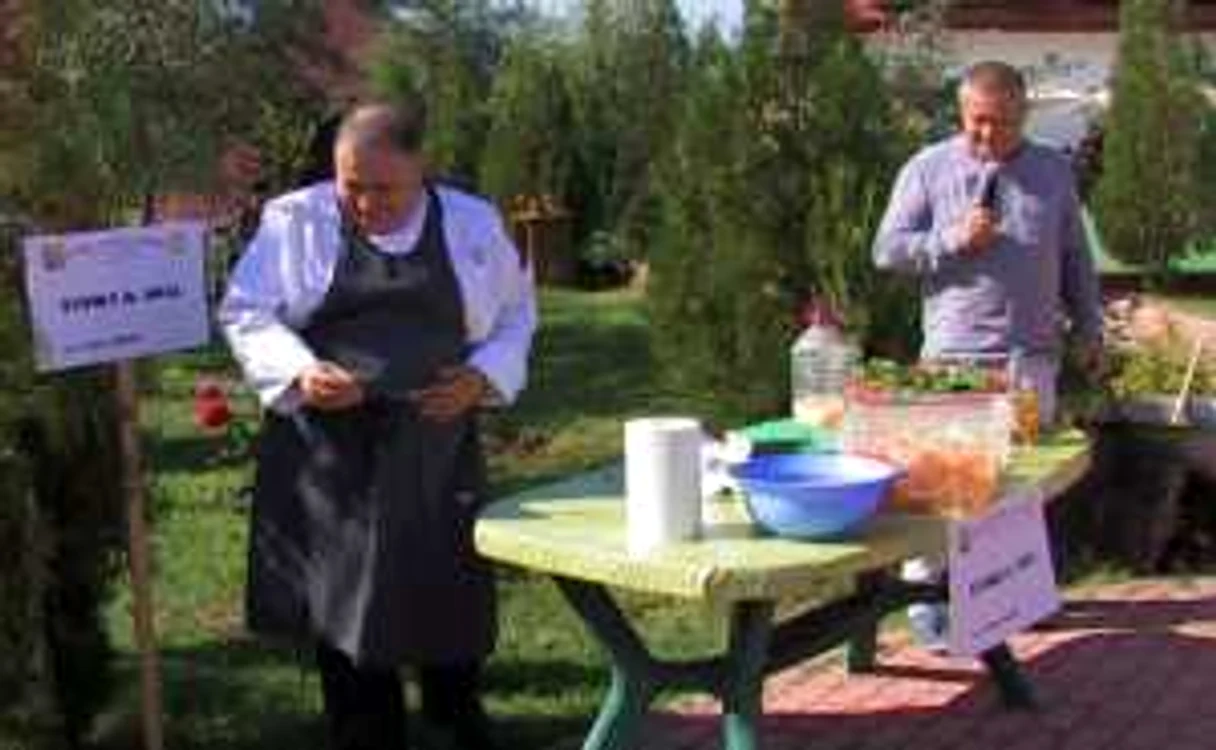 Dinescu și Vârlan, protagoniștii festivalului