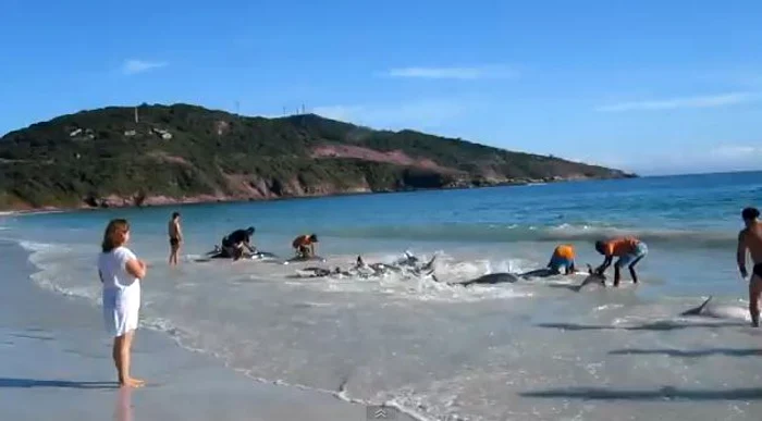 Caputură de la locul faptei