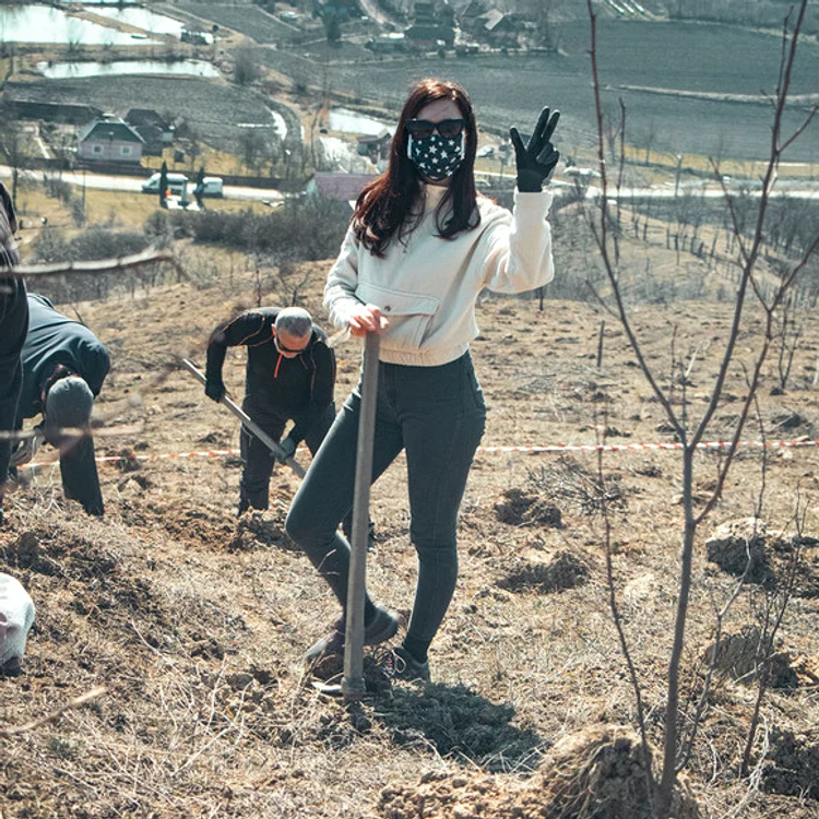 
    În județul Bistrița Năsăud, echipa Muma Pădurii a plantat gorunifoto: arhiva personală  