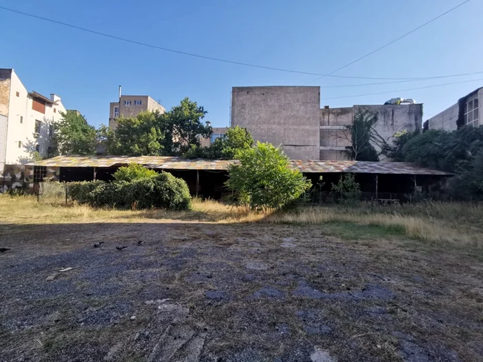 "Apocalipsa elefantului alb" în fosta Garnizoană a Timişoarei FOTO Ştefan Both