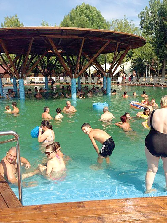 
    Elena Udrea a renunţat la vacanţele de  fiţe şi va merge la tratament  