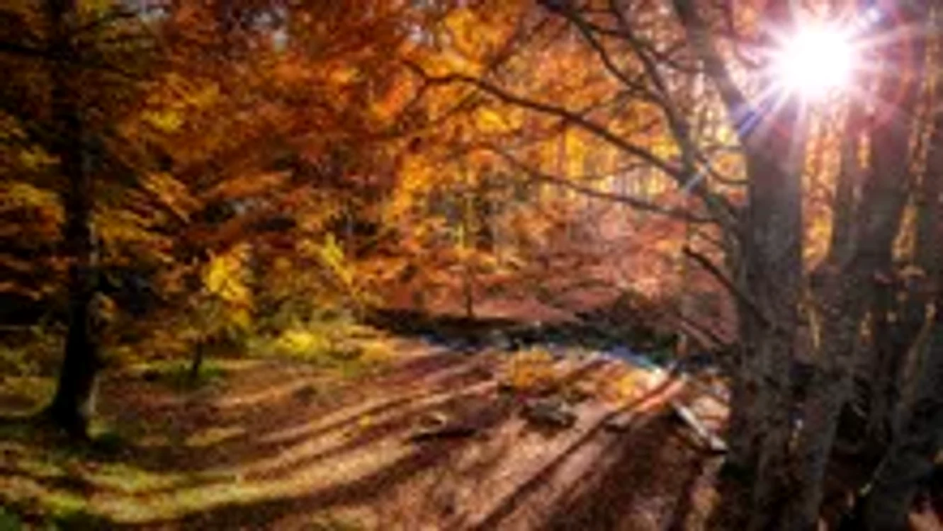 Echinocţiul de toamnă. Foto: Unsplash.