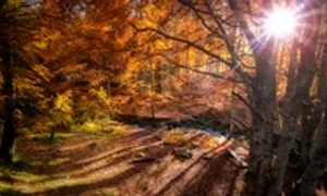 toamna echinoctiu unsplash descopera 1 e1600672432946 1024x607 jpg