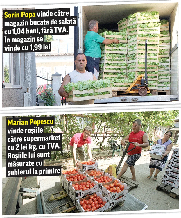 Fotografii: Florin Şuler