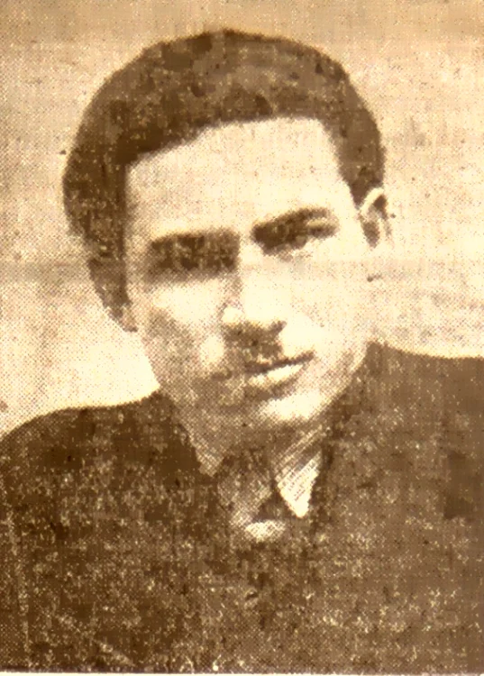 Ion Pena