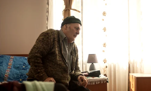 Nu e azil, e cămin jpeg