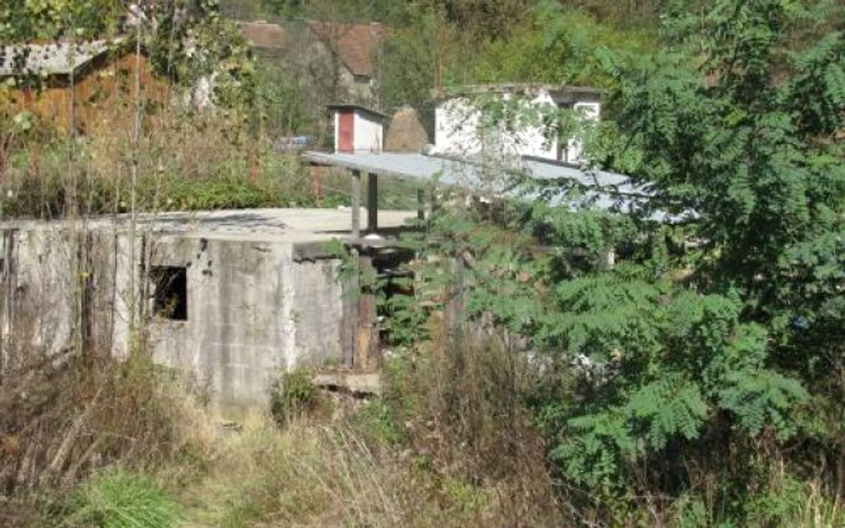 FOTO 5 bis