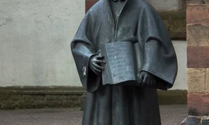 Un bilet Fălticeni – Geneva, via Brăila jpeg