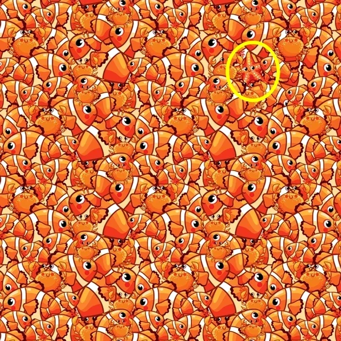 Rezolvarea provocării