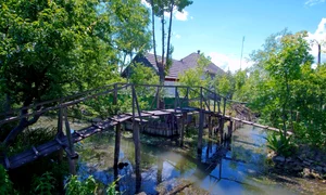 Vilkovo - Vylkove - Vâlcov - Veneţia ucraineană - 6 iul 2022 / FOTO Profimedia
