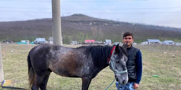 Sergiu