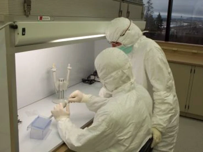 
    Autorităţile sanitare se aşteaptă de acum înainte şi la alte cazuri de gripă nouă cu transmitere locală  