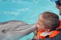8 actu 1 delfin1 3col jpeg