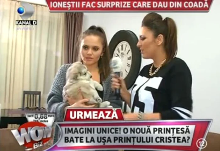 catel