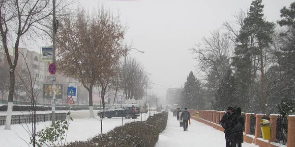 Zăpadă