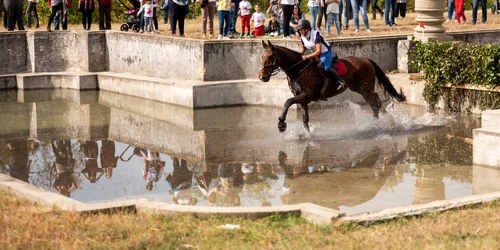 cross  country.  Foto Karpatia Horse Show