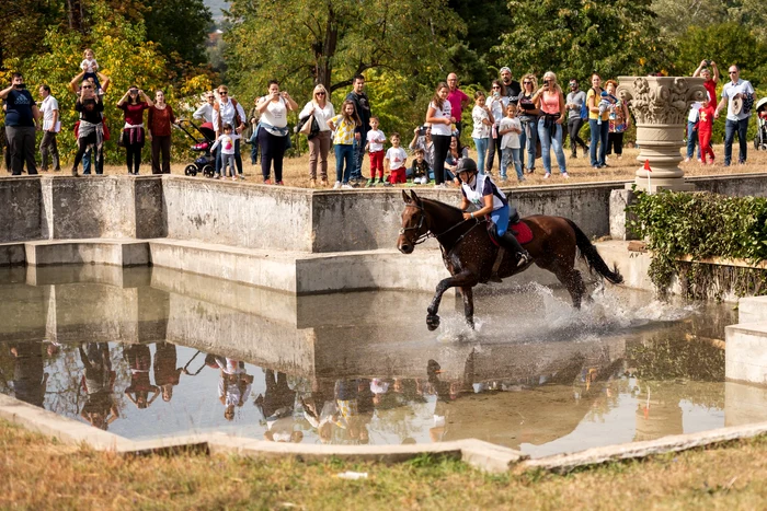 Karpatia Horse Show se desfășoară între 22-24 septembrie. Foto Karpatia Horse Show